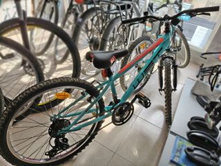 Bicicleta Junior Ideal para niños de entre 8 y 12 