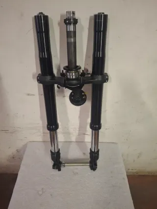 Forcella Kawasaki Z900 2021-2024