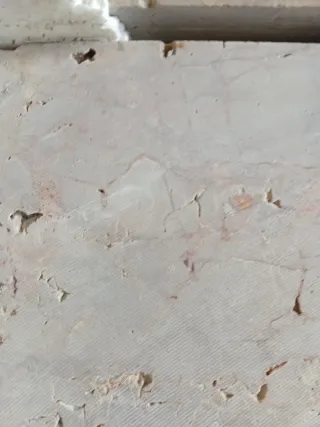 Losas Beige Serpiente Bruto 2cm