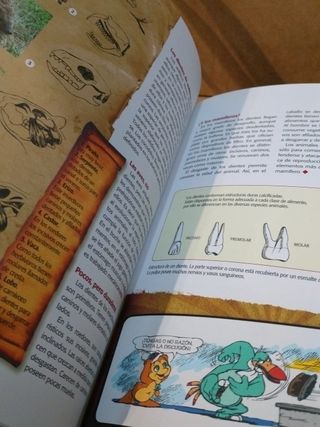 LIBRO GORDO DE PETETE, EL (Spanish Edition)