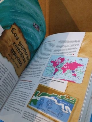 LIBRO GORDO DE PETETE, EL (Spanish Edition)