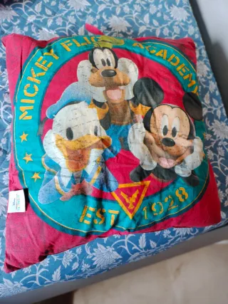 Almohada Disney Mickey Friends Academy