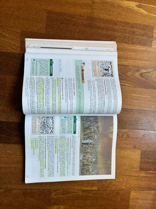 Historia ciencias sociales, segundo ciclo