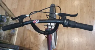 Bicicleta Junior / Up Ride / 20P