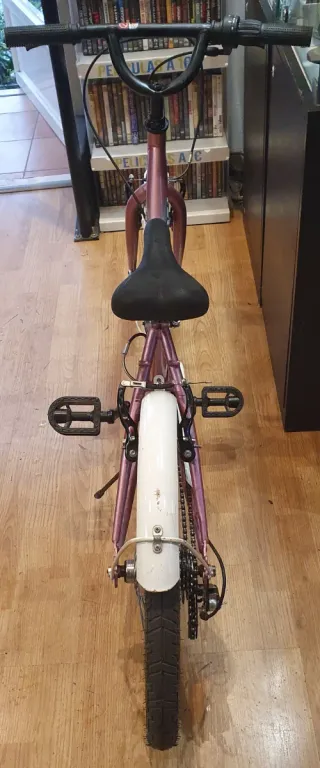 Bicicleta Junior / Up Ride / 20P