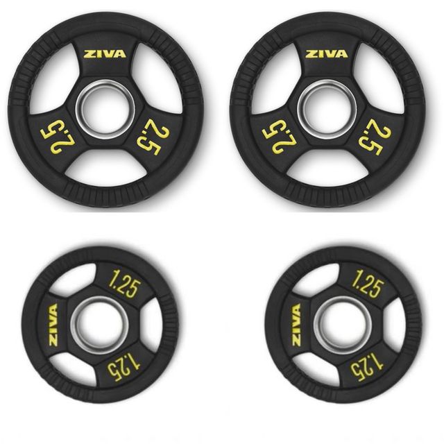 2 discos de 2.5 y 2 de 1.25kg Ziva 