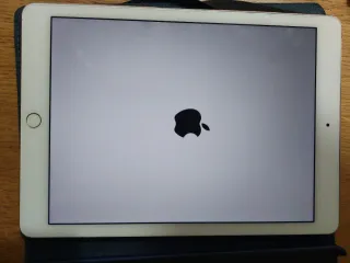 Apple iPad Pro 9.7 128GB rosa