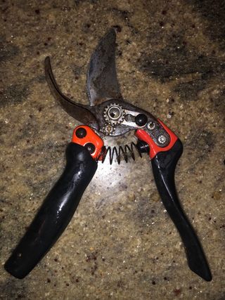 Tijeras de podar hoja 3 + Kamikaze