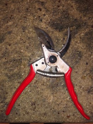 Tijeras de podar hoja 3 + Kamikaze