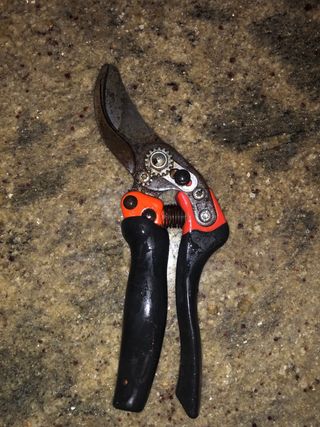 Tijeras de podar hoja 3 + Kamikaze