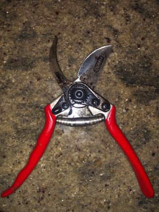 Tijeras de podar hoja 3 + Kamikaze