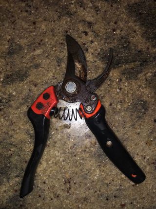 Tijeras de podar hoja 3 + Kamikaze