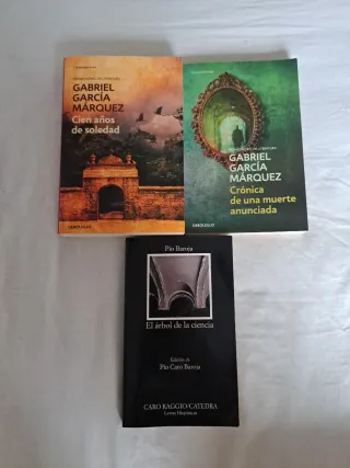 Lote de libros instituto y Novels