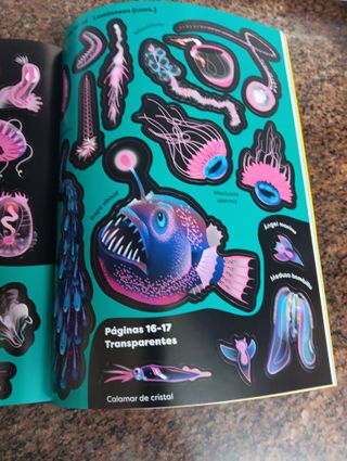 5 libros de pegatinas