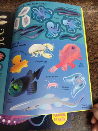 5 libros de pegatinas