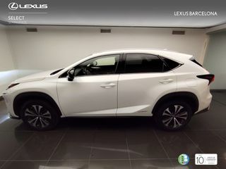 Lexus NX300h PREMIUM 2021 REF 3291