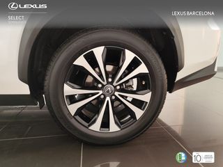 Lexus NX300h PREMIUM 2021 REF 3291