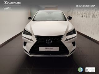 Lexus NX300h PREMIUM 2021 REF 3291