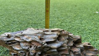 Roca Dragón para Acuario