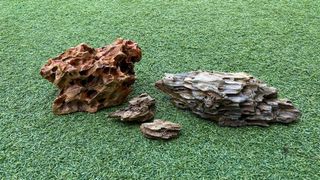 Roca Dragón para Acuario