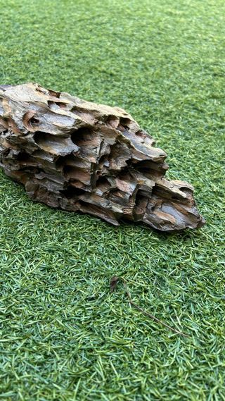 Roca Dragón para Acuario