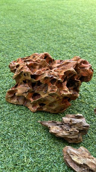 Roca Dragón para Acuario