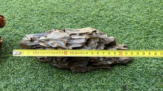 Roca Dragón para Acuario