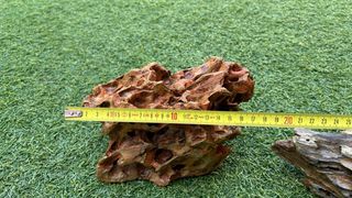 Roca Dragón para Acuario