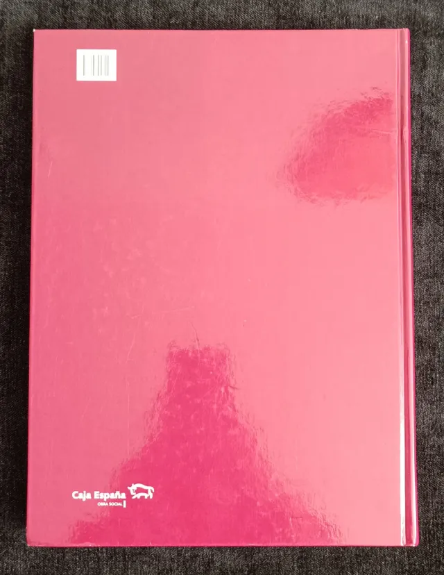 LIBRO LA COLECCIÓN CAJA ESPAÑA DE PINTURA