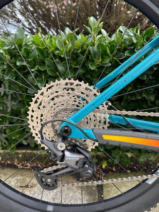 Bicicleta TREK Roscoe 7 XL