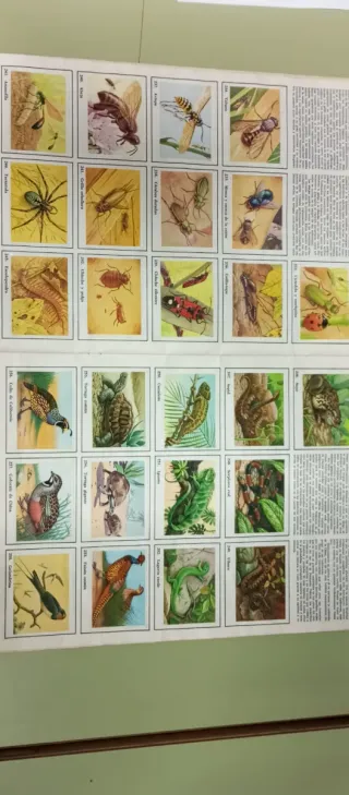 Álbum Félix Rodríguez de la Fuente Completo