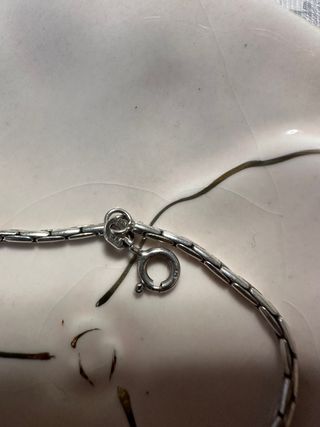 Pulsera Plata 925 con Charm