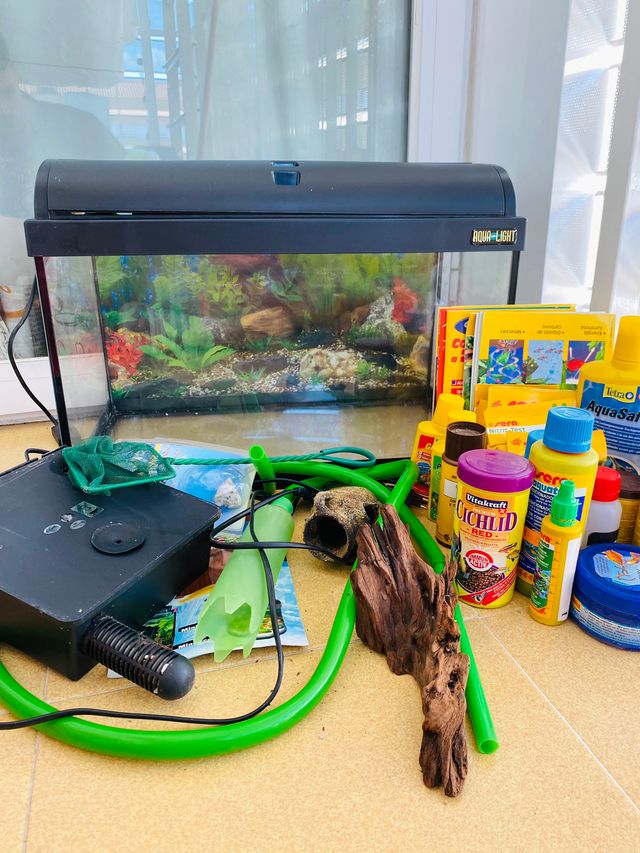 Lote acuario completo + accesorios