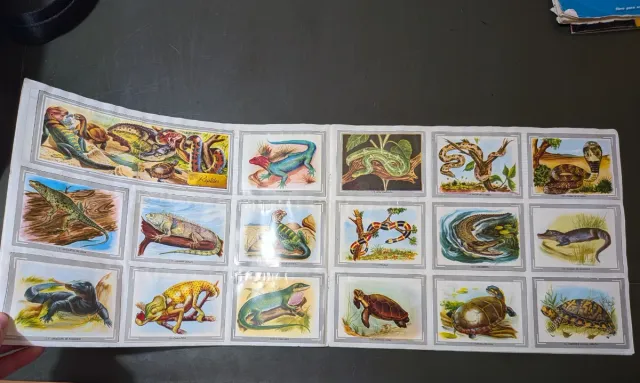 Álbum de cromos Vida y Color