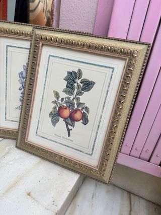 Marcos dorados con láminas de frutas enmarcado