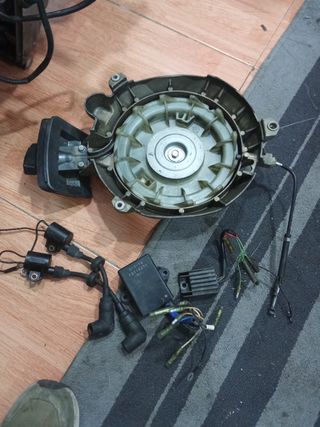 Despiece!!!!completó Motor fueraborda Yamaha 25,cv