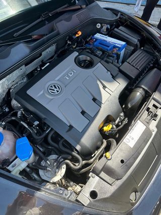 Volkswagen Beetle 2014