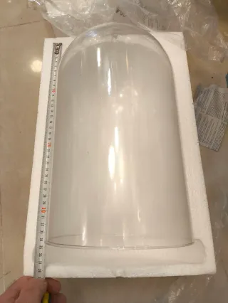 Urna o fanal de cristal con base madera negra