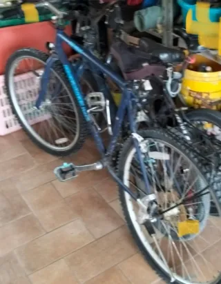 Vendo Bicicletta blu