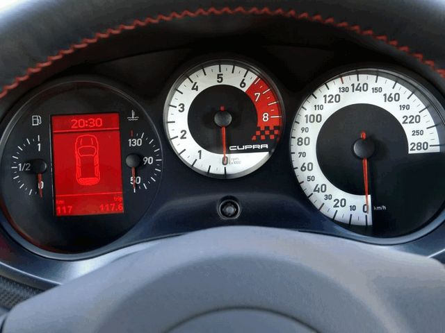 Cuadro Seat Leon Cupra MK2 2008