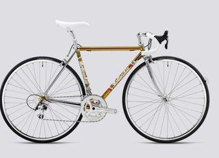 Bici Bottecchia Leggendaria Centaur 22S