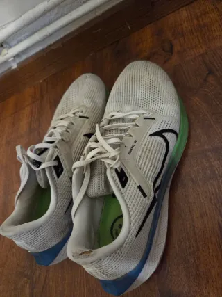 Nike Air Zoom Pegasus 40 Talla 43