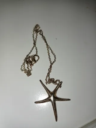 Colgante estrella de mar con cadena