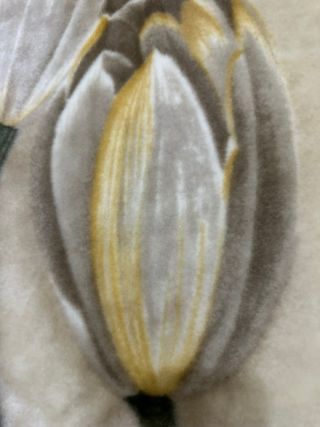 Manta Rasilan Matrimonio Beige/Marrón