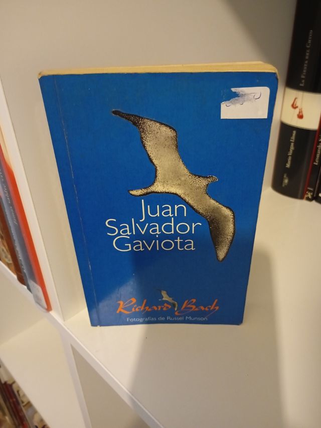 Juan Salvador Gaviota (Spanish Edition)