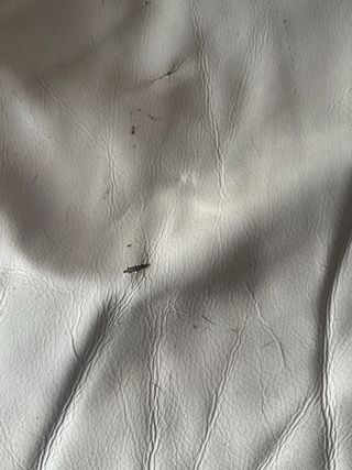 Sofá-cama polipiel beige