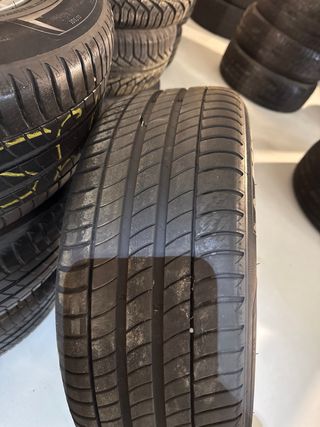 Llantas BMW 225/55R17 97Y Michelin