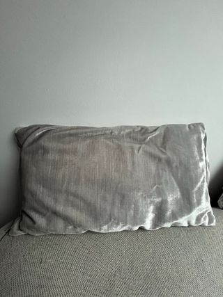 2 Cojines Decorativos Terciopelo