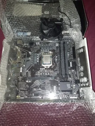 Placa base + procesador + disipador