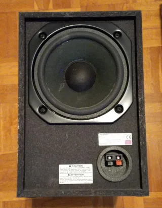 Home Cinema Pioneer XV- S100 D V.Funciona perfecto